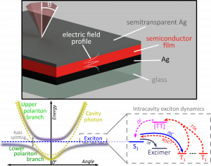 Schematic of organic microcavity and the nature of the processes that occur inside
