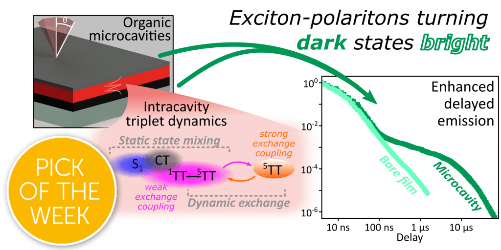 Graphical abstract of TTc microcavity study