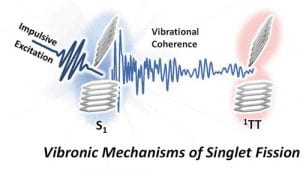 Vibrational coherence imparted by ultrafast excitation