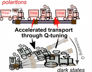Train cartoon for pol transport